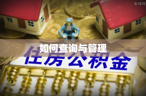 登封如何查询与管理