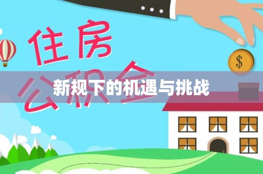 登封新规下的机遇与挑战
