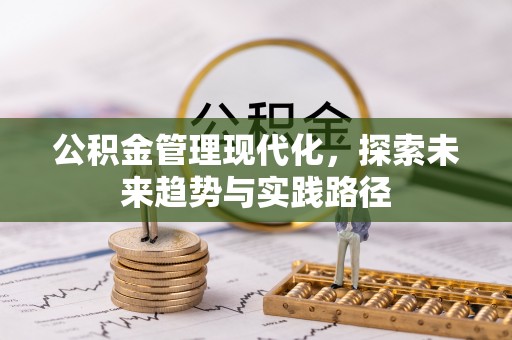 登封公积金管理现代化，探索未来趋势与实践路径