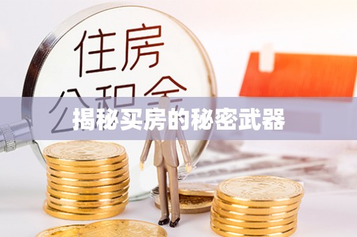 登封揭秘买房的秘密武器