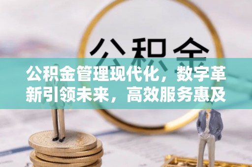 登封公积金管理现代化，数字革新引领未来，高效服务惠及民生