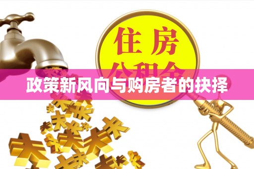 登封政策新风向与购房者的抉择
