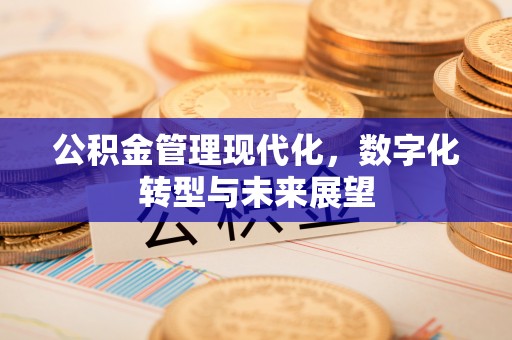 登封公积金管理现代化，数字化转型与未来展望