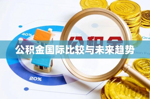 登封公积金国际比较与未来趋势