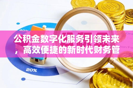 登封公积金数字化服务引领未来，高效便捷的新时代财务管理