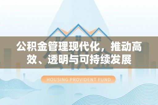 登封公积金管理现代化，推动高效、透明与可持续发展