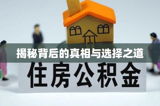 登封揭秘背后的真相与选择之道