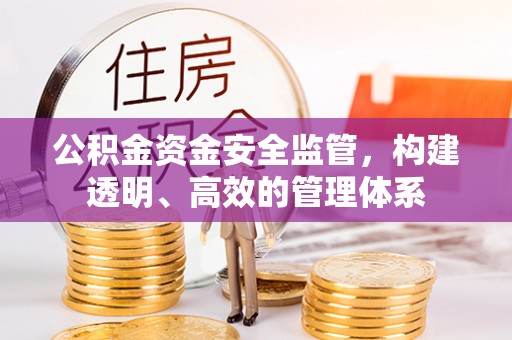 登封公积金资金安全监管，构建透明、高效的管理体系