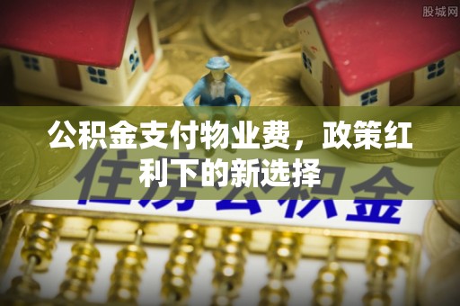 登封公积金支付物业费，政策红利下的新选择