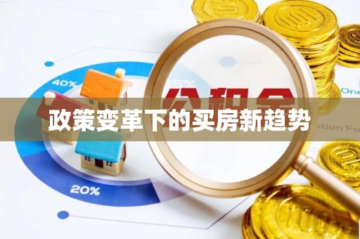 登封政策变革下的买房新趋势