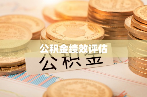 登封公积金绩效评估