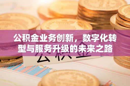 登封公积金业务创新，数字化转型与服务升级的未来之路
