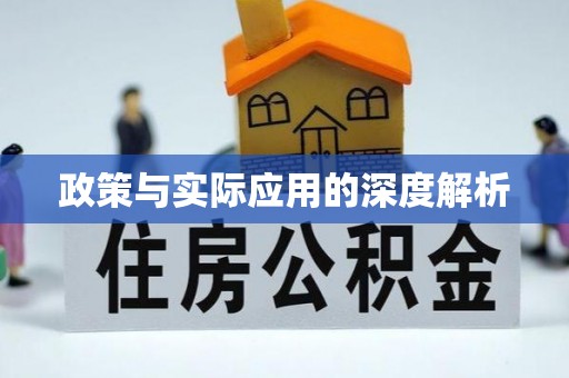 登封政策与实际应用的深度解析
