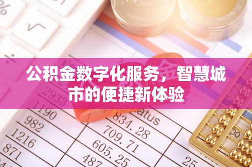 登封公积金数字化服务，智慧城市的便捷新体验