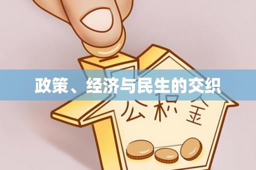 登封政策、经济与民生的交织