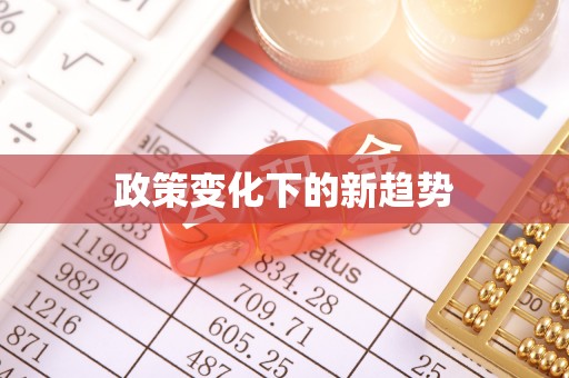 登封政策变化下的新趋势