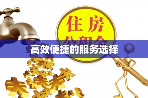 登封高效便捷的服务选择