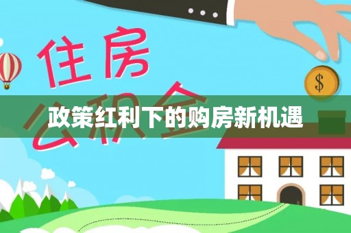登封政策红利下的购房新机遇